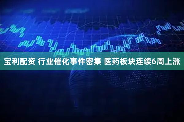 宝利配资 行业催化事件密集 医药板块连续6周上涨