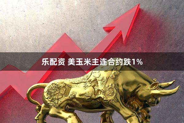 乐配资 美玉米主连合约跌1%